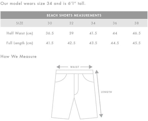 As Colour Men's beach shorts 5903 Active Wear As Colour