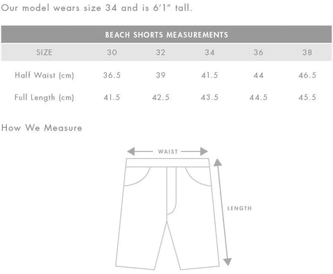 As Colour Men's beach shorts 5903 Active Wear As Colour